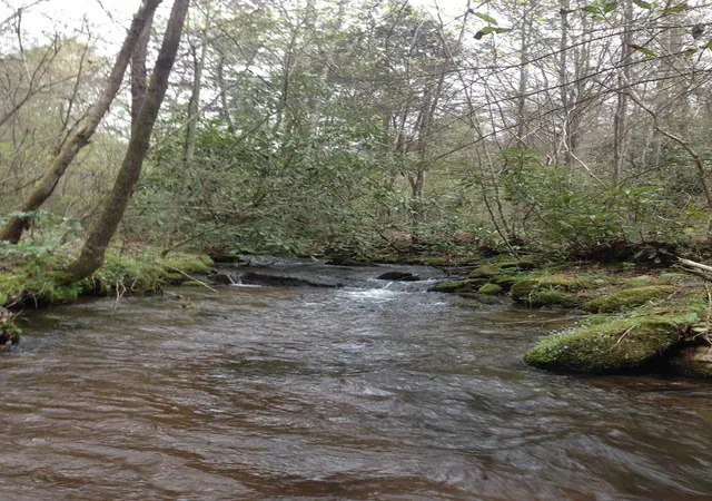 Photo 2 of Land for sale at 55 Greasey Creek Rd, Murphy, NC 28906 | MLS# 98543660 | Listing updated on 2026-06-01