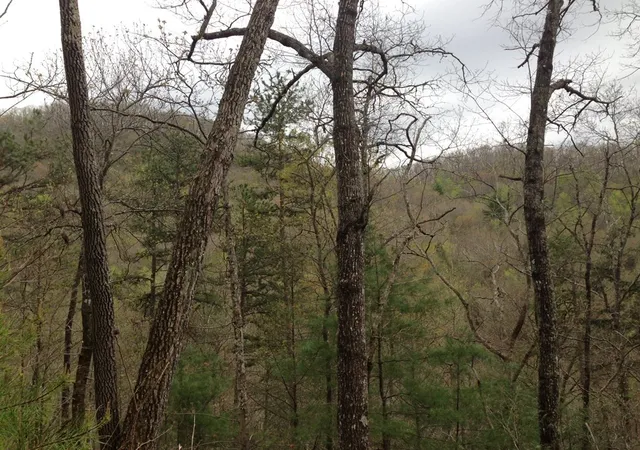 Photo 3 of Land for sale at 55 Greasey Creek Rd, Murphy, NC 28906 | MLS# 98543660 | Listing updated on 2026-06-01
