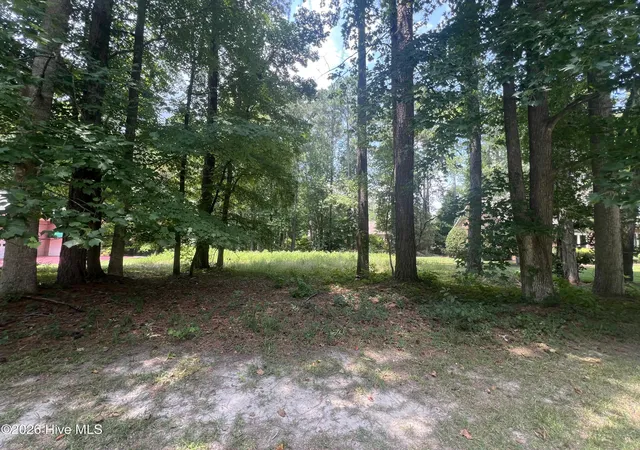 1st image of 309 Potomac Dr, Chocowinity, NC 27817 | MLS# 100587342