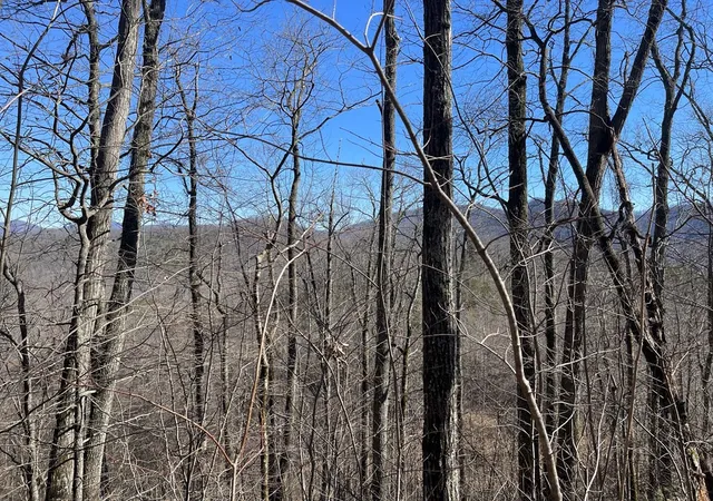 Photo 2 of Land for sale at Lot 68j Grandview Dr, Hayesville, NC 28904 | MLS# 98500940 | Listing updated on 2026-07-21