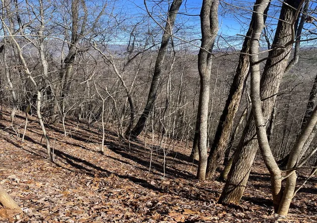 Photo 3 of Land for sale at Lot 68j Grandview Dr, Hayesville, NC 28904 | MLS# 98500940 | Listing updated on 2026-07-21