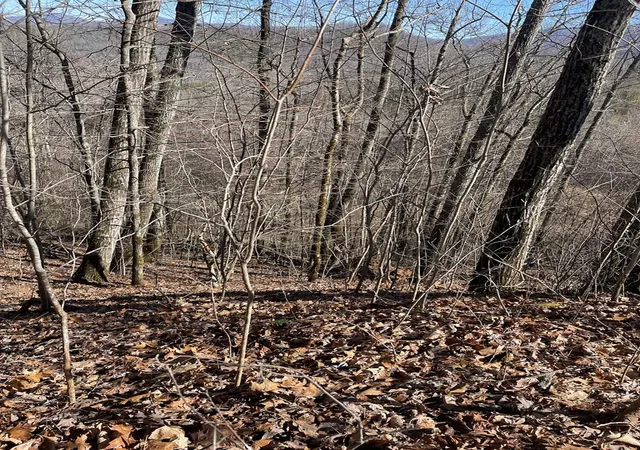 Photo 3 of Land for sale at Lot 68J Grandview Dr, Hayesville, NC 28904 | MLS# 98500940 | Listing updated on 2026-07-21