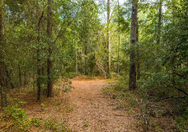 2nd image of 1503 Hephzibah   Mcbean Rd, Hephzibah, GA 30815 | MLS# 98224868