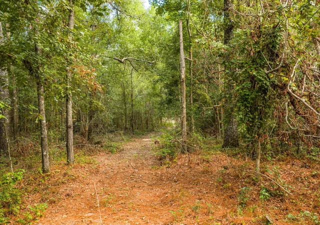 3rd image of 1503 Hephzibah - Mcbean Rd, Hephzibah, GA 30815 | MLS# 98224868