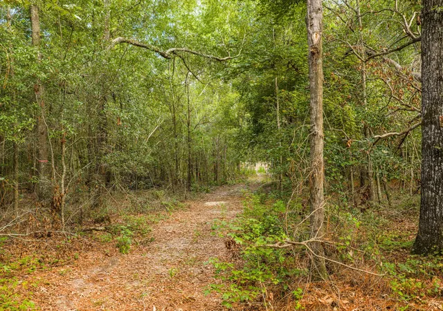 4th image of 1503 Hephzibah - Mcbean Rd, Hephzibah, GA 30815 | MLS# 98224868