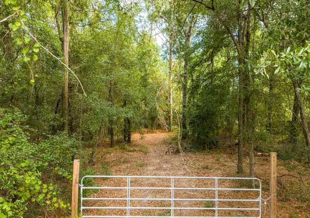 5th image of 1503 Hephzibah - Mcbean Rd, Hephzibah, GA 30815 | MLS# 98224868