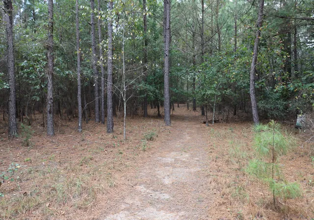 34th image of 5631 Old Augusta Hwy, Grovetown, GA 30813 | MLS# 98195131