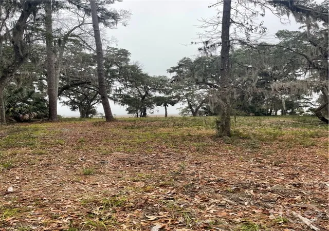 Photo 1 of Land for sale at 2050 Belle Hammock Rd Ne, Townsend, GA 31331 | MLS# SA350342 | Listing updated on 2026-07-07