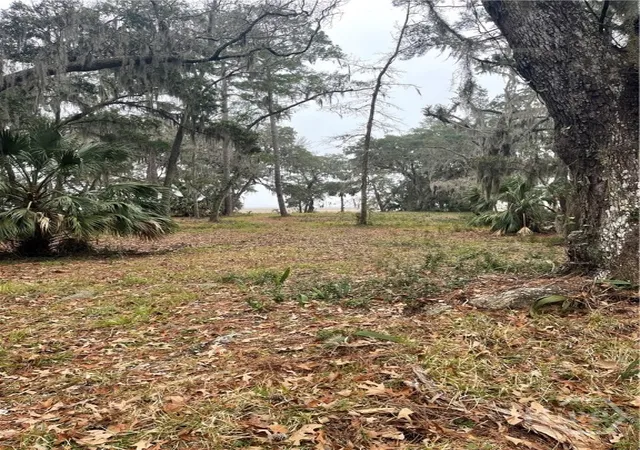 Photo 3 of Land for sale at 2050 Belle Hammock Rd Ne, Townsend, GA 31331 | MLS# SA350342 | Listing updated on 2026-07-07