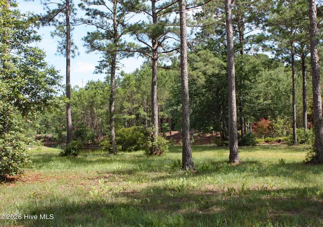 Homes for sale in Ocean Isle Beach, NC | 738 Highgate Pl Sw, Ocean Isle Beach, NC 28469 | MLS# 100582168