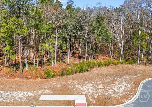 2nd image of 154 Wood Haven Ln, Pooler, GA 31322 | MLS# SA350599