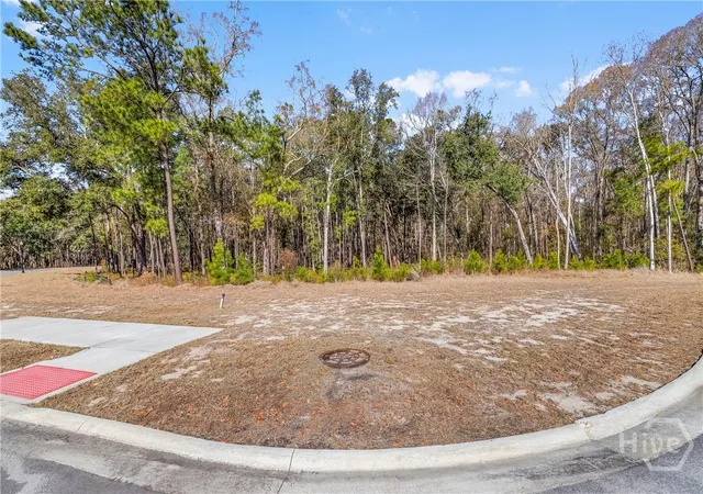 4th image of 154 Wood Haven Ln, Pooler, GA 31322 | MLS# SA350599