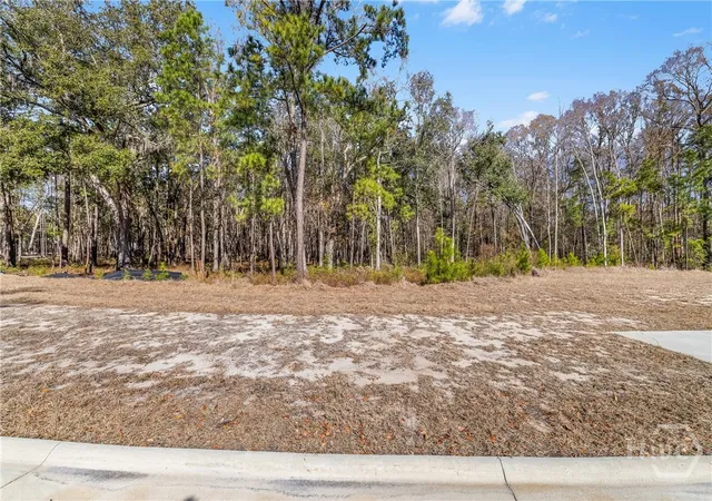 5th image of 154 Wood Haven Ln, Pooler, GA 31322 | MLS# SA350599