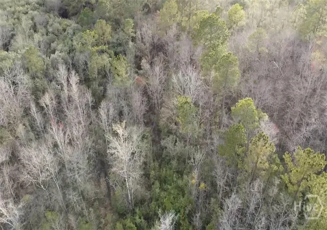 15th image of 6703 Buchan Rd, Pembroke, GA 31321 | MLS# SA344126