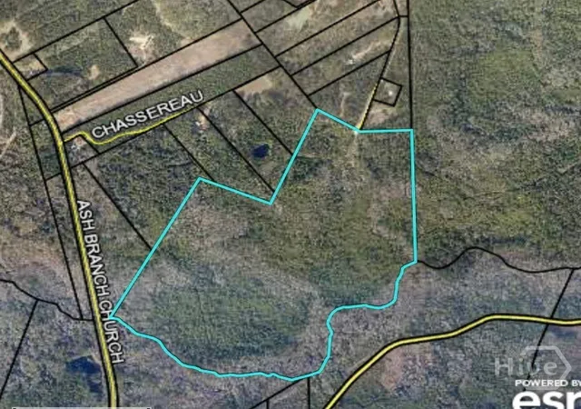 1st image of 6703 Buchan Rd, Pembroke, GA 31321 | MLS# SA344126
