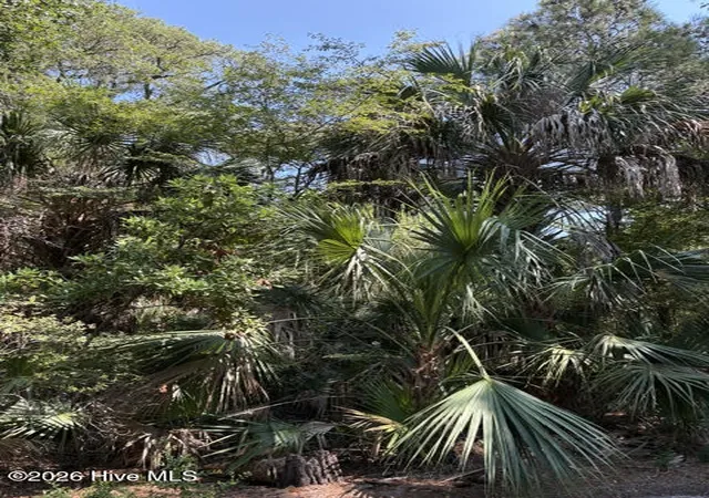 Photo 4 of Land for sale at 2 Gray Fox Ct, Bald Head Island, NC 28461 | MLS# 100563191 | Listing updated on 2026-08-28