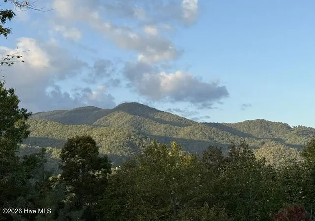 Homes for sale in Hayesville, NC | Lot 5 Downings Creek Road, Hayesville, NC 28904 | MLS# 100587193