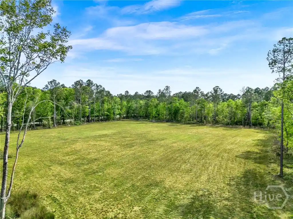 Photo 1 of Land for sale at 0 Courthouse Rd, Guyton, GA 31312 | MLS# SA365379 | Listing updated on 2026-10-06
