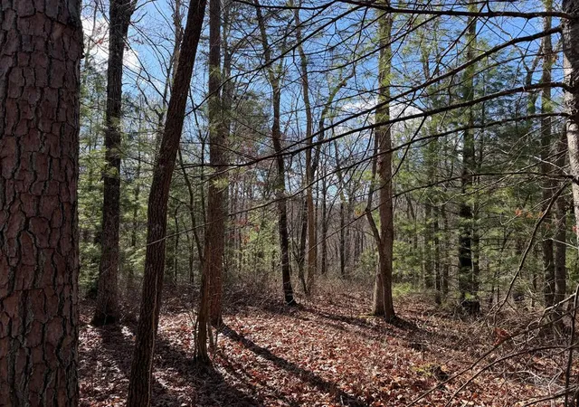 Photo 3 of Land for sale at Lot #20 Yellow Maple Dr, Murphy, NC 28906 | MLS# 98519511 | Listing updated on 2026-08-18