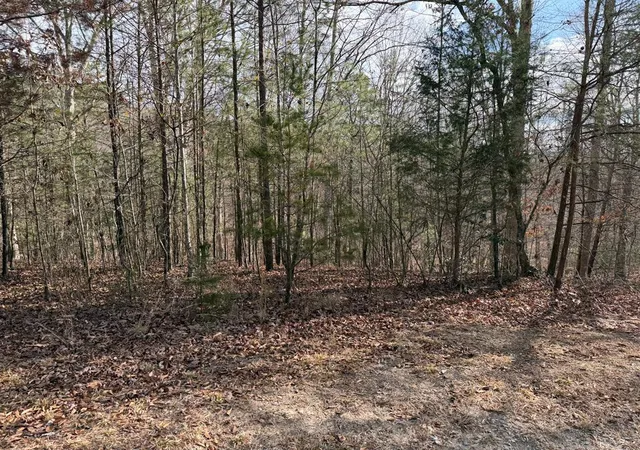 Photo 4 of Land for sale at Lot #20 Yellow Maple Dr, Murphy, NC 28906 | MLS# 98519511 | Listing updated on 2026-08-18