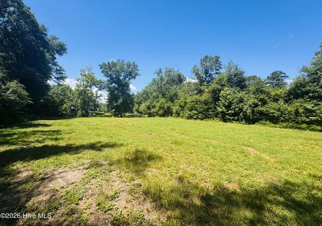 17th image of 1042 Lake Cadeli Rd, Bartow, GA 30413 | MLS# 100589259