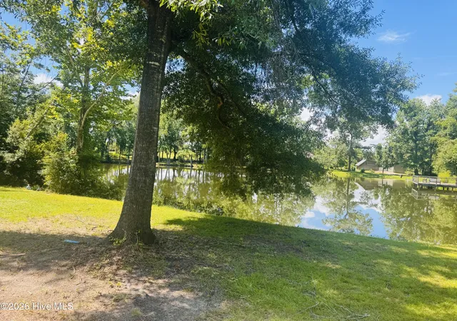2nd image of 1042 Lake Cadeli Rd, Bartow, GA 30413 | MLS# 100589259