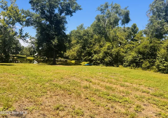 Photo 3 of Land for sale at 1042 Lake Cadeli Rd, Bartow, GA 30413 | MLS# 100589259 | Listing updated on 2026-08-18