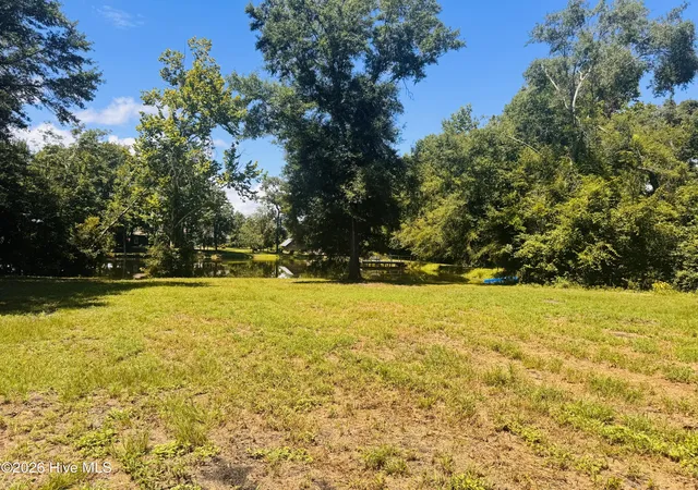 Photo 3 of Land for sale at 1042 Lake Cadeli Rd, Bartow, GA 30413 | MLS# 100589259 | Listing updated on 2026-08-18