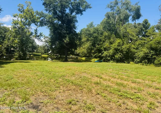 Photo 4 of Land for sale at 1042 Lake Cadeli Rd, Bartow, GA 30413 | MLS# 100589259 | Listing updated on 2026-08-18