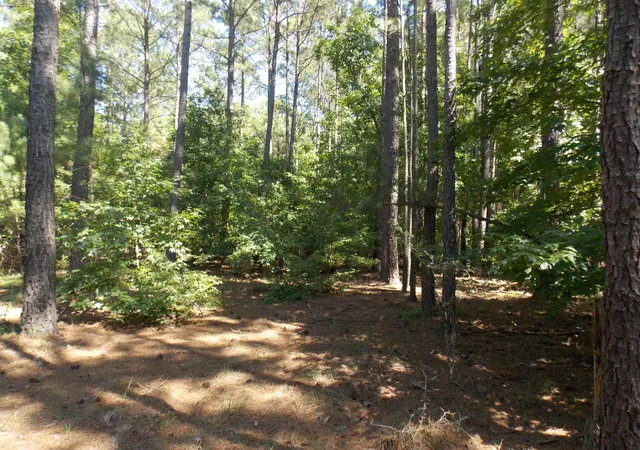 2nd image of 73 Maiden Cane Way, Lincolnton, GA 30817 | MLS# 98212392
