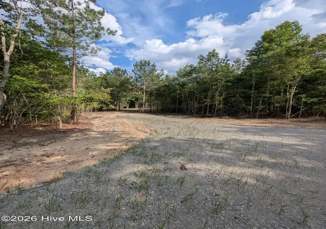 Photo 2 of Land for sale at 2r 4 Peyton Dr, Eagle Springs, NC 27242 | MLS# 100591269 | Listing updated on 2026-07-29
