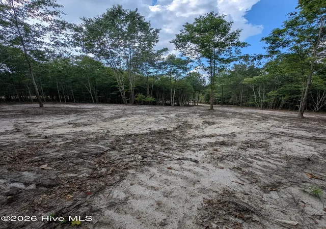 Photo 4 of Land for sale at 2r-4 Peyton Dr, Eagle Springs, NC 27242 | MLS# 100591269 | Listing updated on 2026-07-29