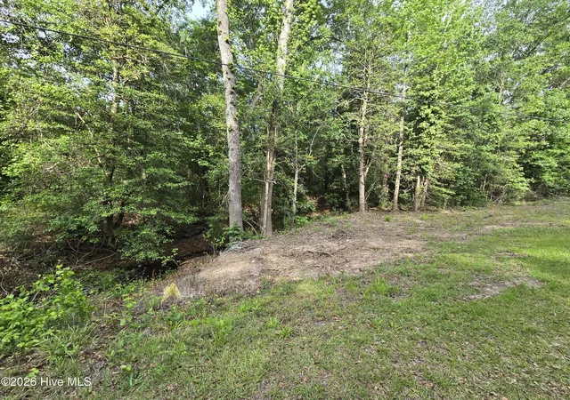 Photo 3 of Land for sale at Lot 45 47 Cabins Crk Rd, Vass, NC 28394 | MLS# 100590912 | Listing updated on 2026-07-23