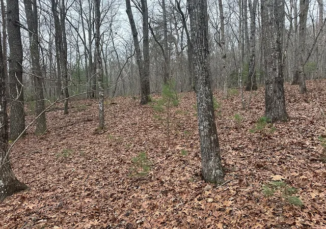 Photo 4 of Land for sale at 00 Marrestop, Murphy, NC 28906 | MLS# 98524703 | Listing updated on 2026-08-29