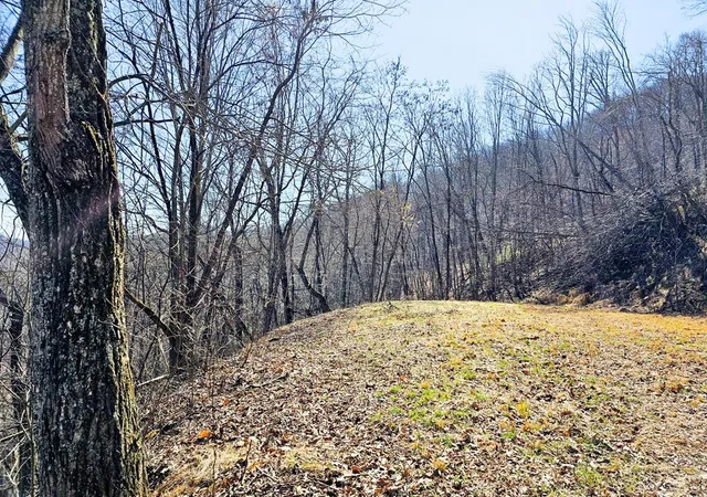 Photo 2 of Land for sale at Lot 39 Merlin Trl / Warbler Rd, Murphy, NC 28906 | MLS# 98544544 | Listing updated on 2026-07-21