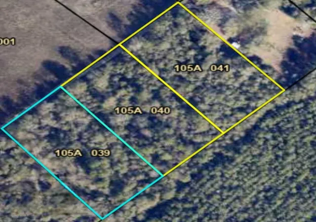 Homes for sale in Waynesboro, GA | 01 River Rd, Waynesboro, GA 30830 | MLS# 98254682