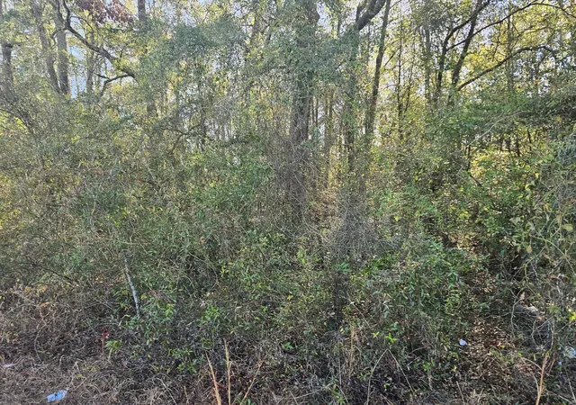 Homes for sale in Waynesboro, GA | 01 River Rd, Waynesboro, GA 30830 | MLS# 98254682