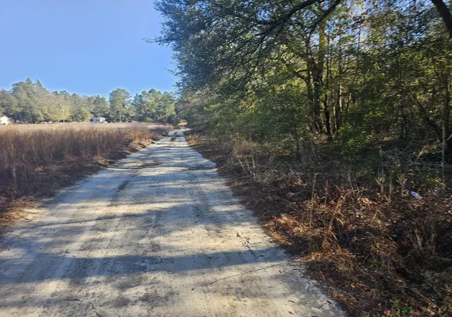 Homes for sale in Waynesboro, GA | 01 River Rd, Waynesboro, GA 30830 | MLS# 98254682