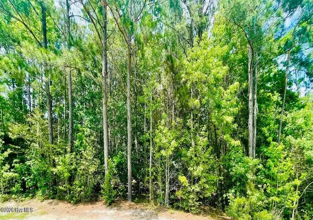 10th image of 139 Osprey Dr, Edenton, NC 27932 | MLS# 100551292