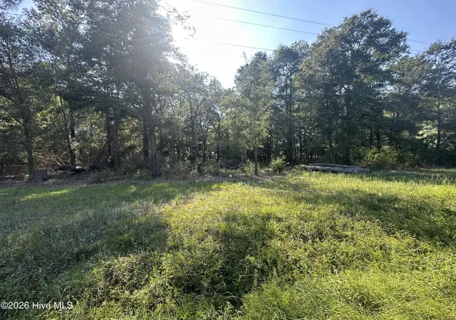 Photo 3 of Land for sale at 2 Ivanhoe Rd, Ivanhoe, NC 28447 | MLS# 100596559 | Listing updated on 2026-08-15