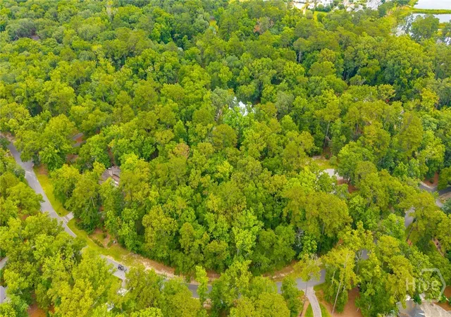Homes for sale in Richmond Hill, GA | 284 Hidden Cove Dr, Richmond Hill, GA 31324 | MLS# SA359699