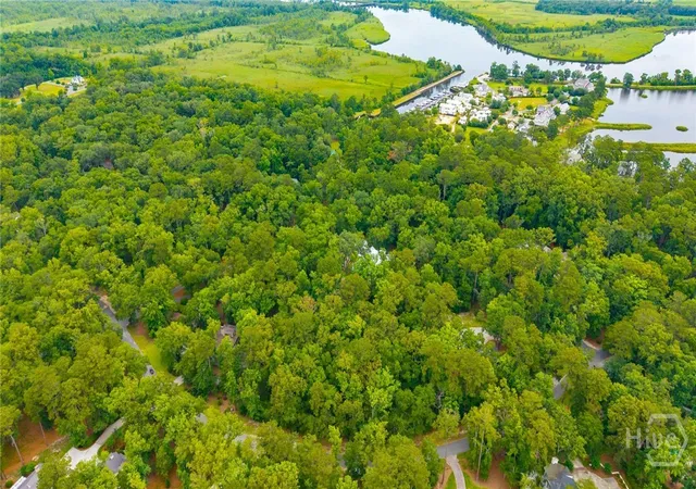 Homes for sale in Richmond Hill, GA | 284 Hidden Cove Dr, Richmond Hill, GA 31324 | MLS# SA359699