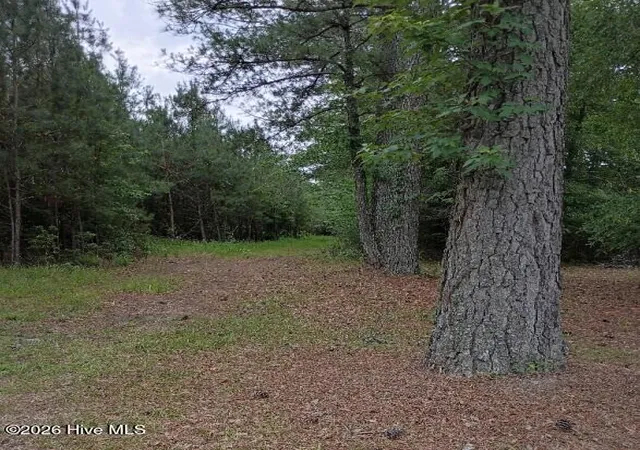 Homes for sale in Blounts Creek, NC | 0 Maules Point Rd, Blounts Creek, NC 27814 | MLS# 100578704