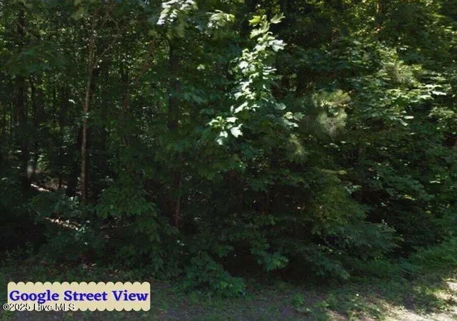 Homes for sale in Cordova, NC | Tbd Country Canyon Dr, Cordova, NC 28330 | MLS# 100542977