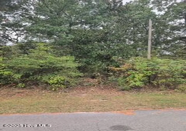 16th image of 131 Powhatan Trl, Edenton, NC 27932 | MLS# 100542113