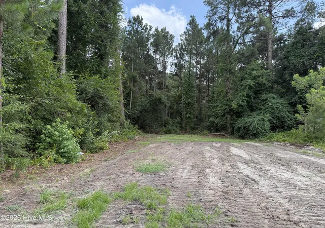 Homes for sale in Elizabethtown, NC | 0 Grays Ln, Elizabethtown, NC 28337 | MLS# 100588966