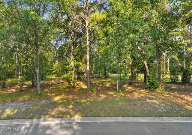 Photo 2 of Land for sale at 348 River Ridge Dr, Wallace, NC 28466 | MLS# 100588237 | Listing updated on 2026-08-18