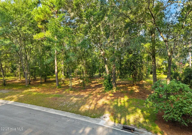 Photo 3 of Land for sale at 348 River Ridge Dr, Wallace, NC 28466 | MLS# 100588237 | Listing updated on 2026-08-18