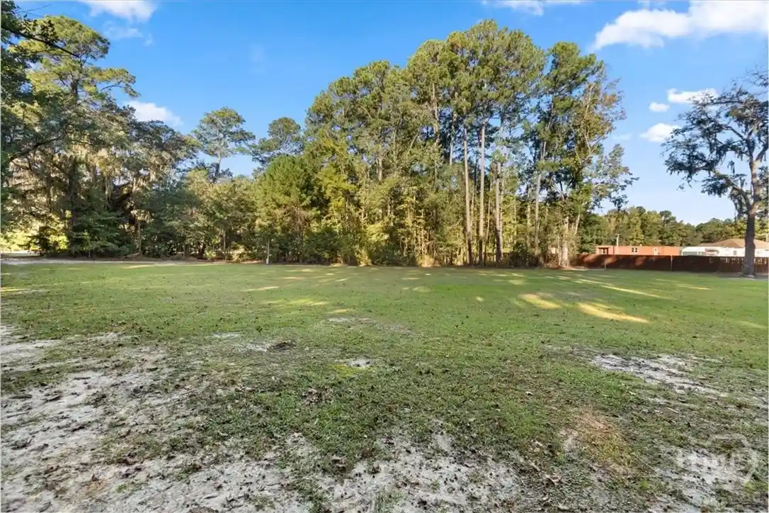 Photo 1 of Land for sale at 0 S Coastal Hwy, Riceboro, GA 31323 | MLS# SA366563 | Listing updated on 2026-10-21