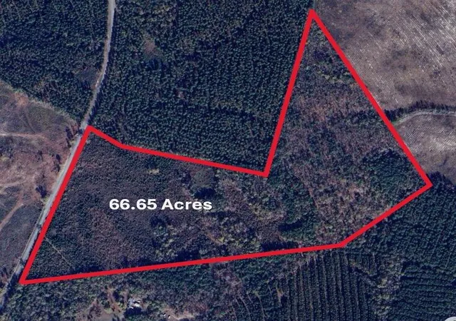 Homes for sale in Midville, GA | 0 305 Hwy, Midville, GA 30441 | MLS# 98224209
